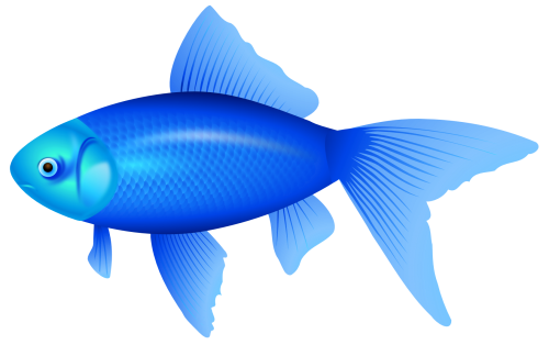 Blue Fish PNG Clipart Image - High-quality PNG Clipart Image in cattegory Underwater PNG / Clipart from ClipartPNG.com