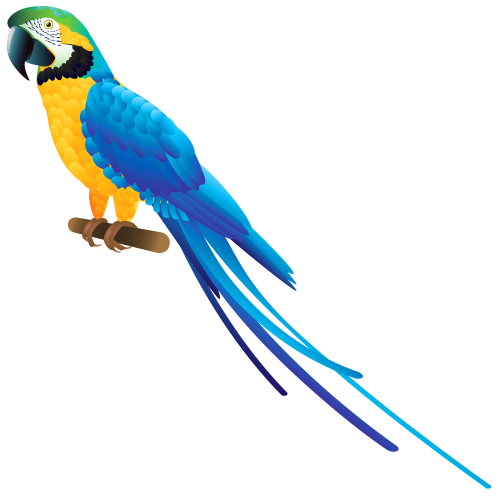 Blue Parrot PNG Clipart - High-quality PNG Clipart Image in cattegory Birds PNG / Clipart from ClipartPNG.com