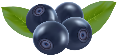 Blueberries PNG Clip Art - High-quality PNG Clipart Image in cattegory Fruits PNG / Clipart from ClipartPNG.com