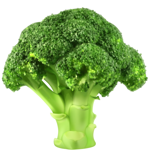 Broccoli PNG Clipart - High-quality PNG Clipart Image in cattegory Vegetables PNG / Clipart from ClipartPNG.com
