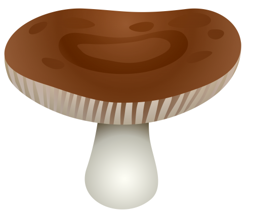 Brown Transparent Mushroom PNG Clipart - High-quality PNG Clipart Image in cattegory Mushrooms PNG / Clipart from ClipartPNG.com