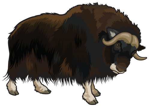 Buffalo PNG Clipart - High-quality PNG Clipart Image in cattegory Animals PNG / Clipart from ClipartPNG.com