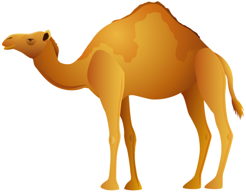 Camel PNG Clip Art - High-quality PNG Clipart Image in cattegory Animals PNG / Clipart from ClipartPNG.com