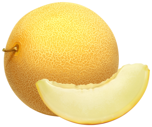 Cantaloupe PNG Clipart - High-quality PNG Clipart Image in cattegory Fruits PNG / Clipart from ClipartPNG.com
