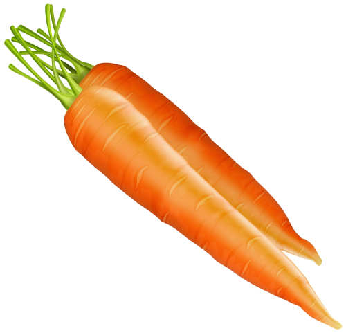 Carrots PNG Clipart - High-quality PNG Clipart Image in cattegory Vegetables PNG / Clipart from ClipartPNG.com