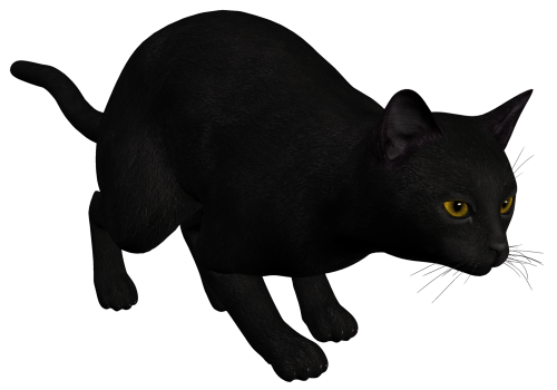 Cat Black PNG Clipart - High-quality PNG Clipart Image in cattegory Animals PNG / Clipart from ClipartPNG.com