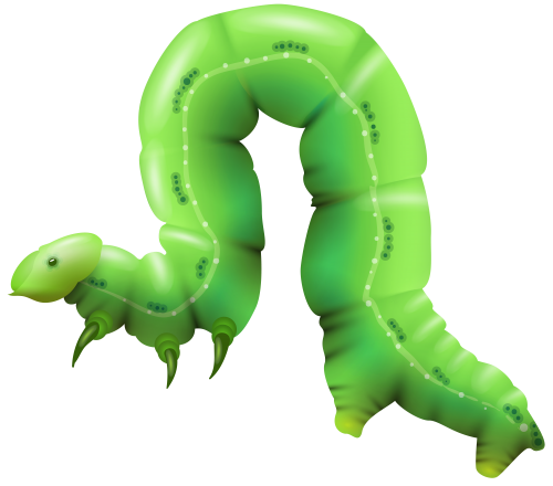 Caterpillar PNG Clip Art - High-quality PNG Clipart Image in cattegory Insects PNG / Clipart from ClipartPNG.com