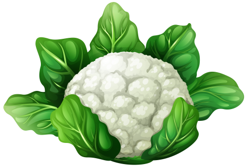 Cauliflower PNG Clip Art - High-quality PNG Clipart Image in cattegory Vegetables PNG / Clipart from ClipartPNG.com