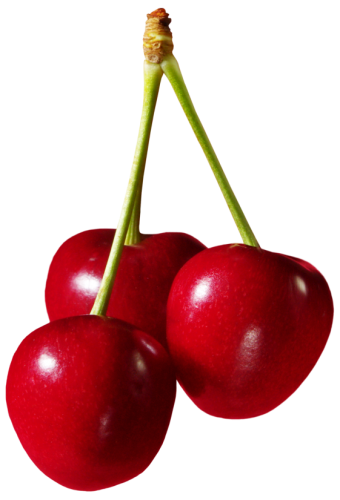 Cherries Fruit PNG Clipart - High-quality PNG Clipart Image in cattegory Fruits PNG / Clipart from ClipartPNG.com