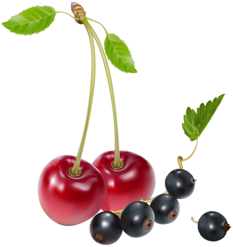 Cherries and Blueberries PNG Clipart - High-quality PNG Clipart Image in cattegory Fruits PNG / Clipart from ClipartPNG.com