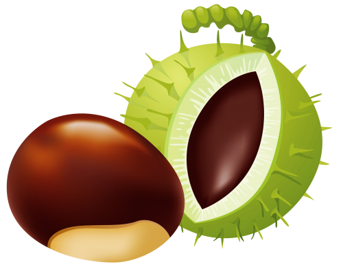 Chestnut PNG Clip Art - High-quality PNG Clipart Image in cattegory Nuts PNG / Clipart from ClipartPNG.com