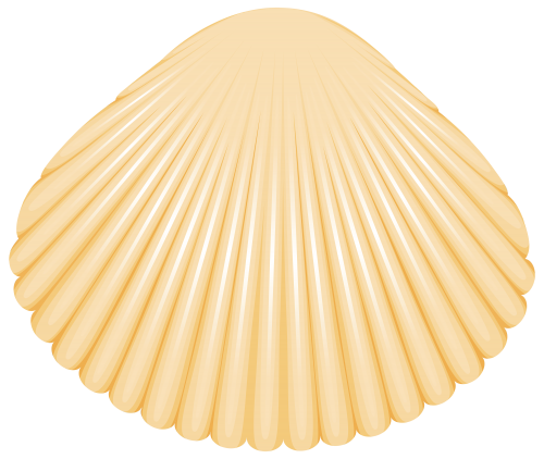 Clam Shell PNG Clip Art - High-quality PNG Clipart Image in cattegory Summer PNG / Clipart from ClipartPNG.com