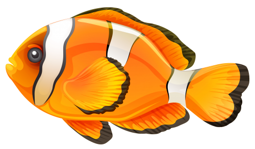 Clownfish PNG Clipart - High-quality PNG Clipart Image in cattegory Underwater PNG / Clipart from ClipartPNG.com