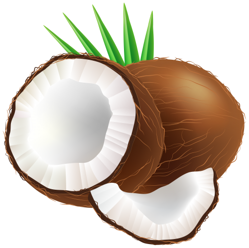 Coconut PNG Clip Art - High-quality PNG Clipart Image in cattegory Fruits PNG / Clipart from ClipartPNG.com