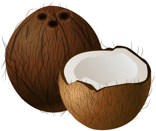 Coconuts PNG Clip Art - High-quality PNG Clipart Image in cattegory Fruits PNG / Clipart from ClipartPNG.com