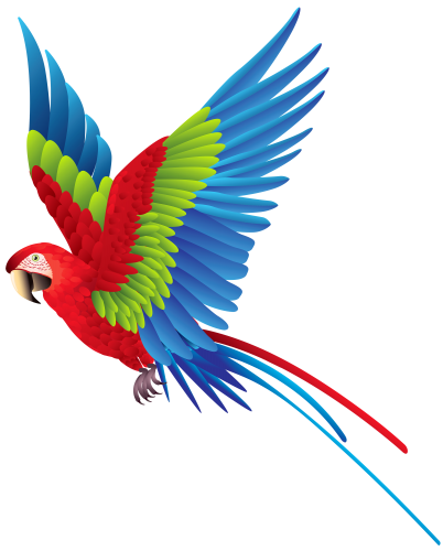 Colourful Parrot PNG Clipart - High-quality PNG Clipart Image in cattegory Birds PNG / Clipart from ClipartPNG.com