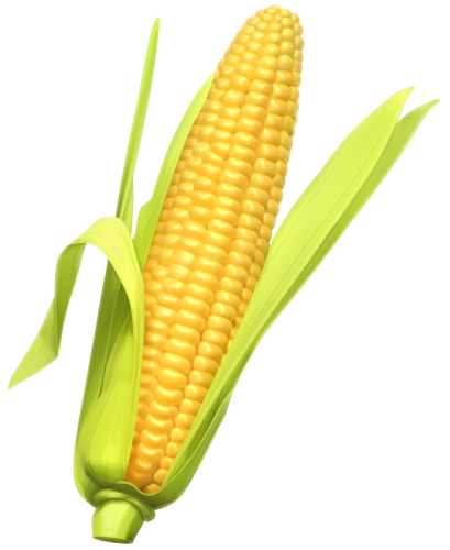 Corn PNG Clipart - High-quality PNG Clipart Image in cattegory Vegetables PNG / Clipart from ClipartPNG.com