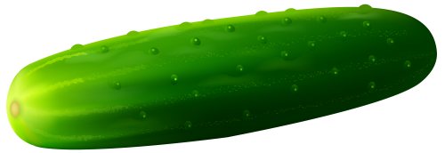 Cucumber PNG Clipart - High-quality PNG Clipart Image in cattegory Vegetables PNG / Clipart from ClipartPNG.com