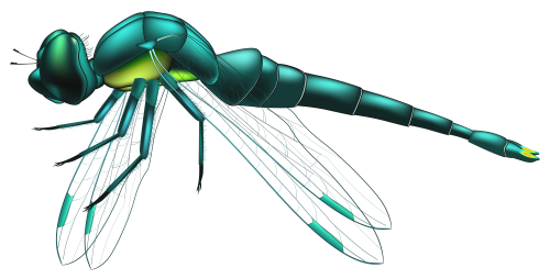 Dragonfly Blue PNG Clip Art - High-quality PNG Clipart Image in cattegory Insects PNG / Clipart from ClipartPNG.com