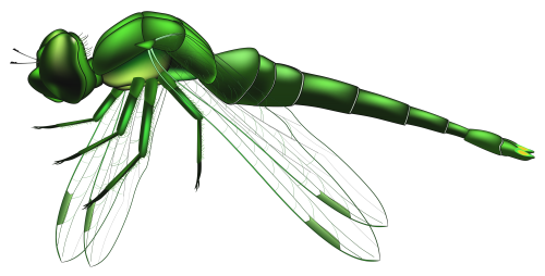 Dragonfly Green PNG Clip Art - High-quality PNG Clipart Image in cattegory Insects PNG / Clipart from ClipartPNG.com