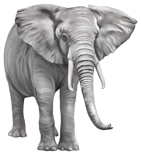 Elephant Large PNG Clipart - High-quality PNG Clipart Image in cattegory Animals PNG / Clipart from ClipartPNG.com