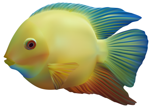 Exotic Fish PNG Clipart - High-quality PNG Clipart Image in cattegory Underwater PNG / Clipart from ClipartPNG.com