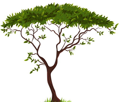 Exotic Tree PNG Clip Art - High-quality PNG Clipart Image in cattegory Trees PNG / Clipart from ClipartPNG.com