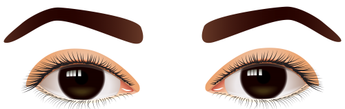Female Brown Eyes PNG Clip Art - High-quality PNG Clipart Image in cattegory Eyes PNG / Clipart from ClipartPNG.com