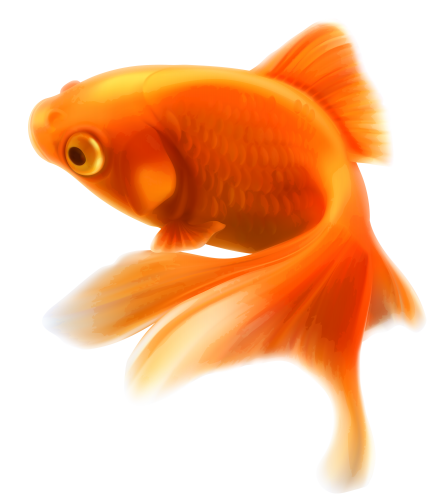 Gold Fish PNG Clipart - High-quality PNG Clipart Image in cattegory Underwater PNG / Clipart from ClipartPNG.com