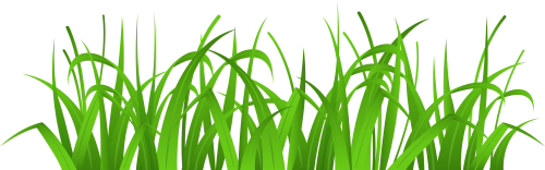 Grass Cover PNG Clip Art - High-quality PNG Clipart Image in cattegory Grass PNG / Clipart from ClipartPNG.com