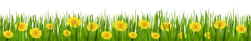 Grass and Dandelions PNG Clip Art - High-quality PNG Clipart Image in cattegory Grass PNG / Clipart from ClipartPNG.com