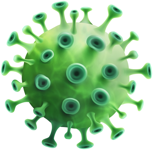 Green Coronavirus PNG Clipart - High-quality PNG Clipart Image in cattegory Medicine PNG / Clipart from ClipartPNG.com
