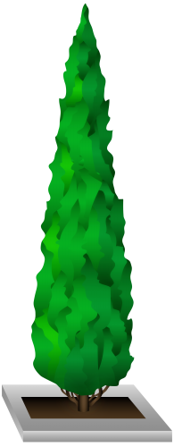 Green Decorative Tree PNG Clipart - High-quality PNG Clipart Image in cattegory Trees PNG / Clipart from ClipartPNG.com