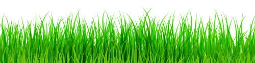 Green Grass PNG Clip Art - High-quality PNG Clipart Image in cattegory Grass PNG / Clipart from ClipartPNG.com