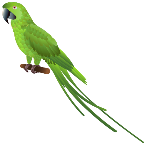 Green Parrot PNG Clipart - High-quality PNG Clipart Image in cattegory Birds PNG / Clipart from ClipartPNG.com