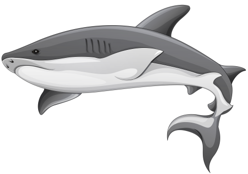 Grey Shark PNG Clipart - High-quality PNG Clipart Image in cattegory Underwater PNG / Clipart from ClipartPNG.com