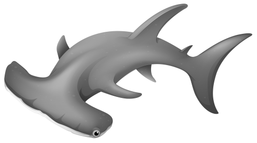 HammerheadShark PNG Clipart - High-quality PNG Clipart Image in cattegory Underwater PNG / Clipart from ClipartPNG.com