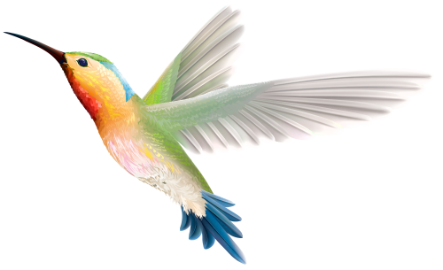 Hummingbird PNG Clipart - High-quality PNG Clipart Image in cattegory Birds PNG / Clipart from ClipartPNG.com