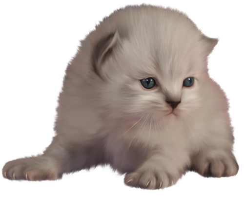 Kitten PNG Clip Art - High-quality PNG Clipart Image in cattegory Animals PNG / Clipart from ClipartPNG.com