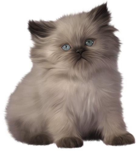 Kitten PNG Clipart - High-quality PNG Clipart Image in cattegory Animals PNG / Clipart from ClipartPNG.com
