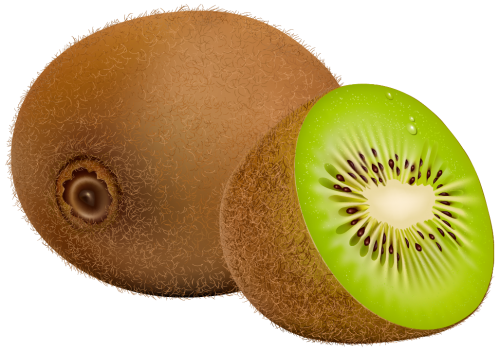 Kiwi Fruit PNG Clipart - High-quality PNG Clipart Image in cattegory Fruits PNG / Clipart from ClipartPNG.com