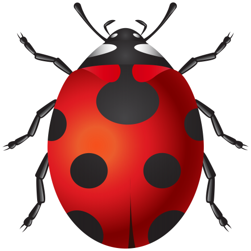 Ladybug PNG Clip Art - High-quality PNG Clipart Image in cattegory Insects PNG / Clipart from ClipartPNG.com