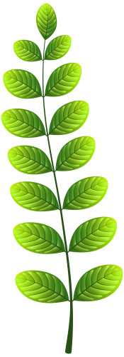 Leaf PNG Clip Ar - High-quality PNG Clipart Image in cattegory Leaves PNG / Clipart from ClipartPNG.com
