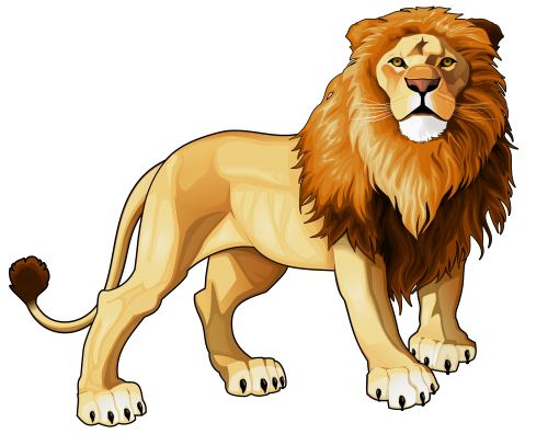 Lion PNG Clipart - High-quality PNG Clipart Image in cattegory Animals PNG / Clipart from ClipartPNG.com