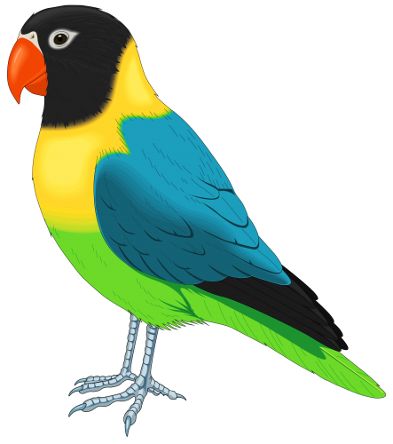 Multicolored Bird PNG Clipart - High-quality PNG Clipart Image in cattegory Birds PNG / Clipart from ClipartPNG.com