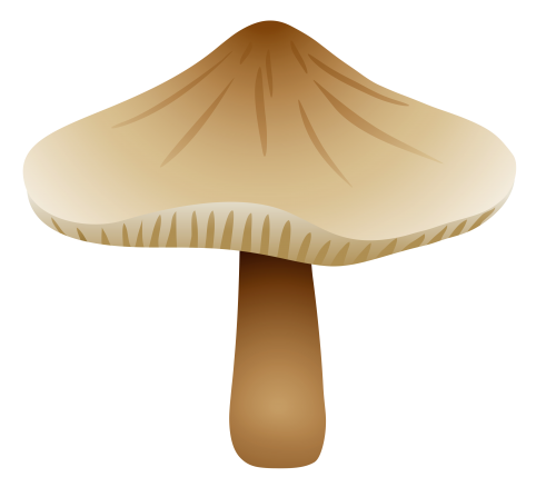 Mushroom Xerula Radicata PNG Clipart - High-quality PNG Clipart Image in cattegory Mushrooms PNG / Clipart from ClipartPNG.com