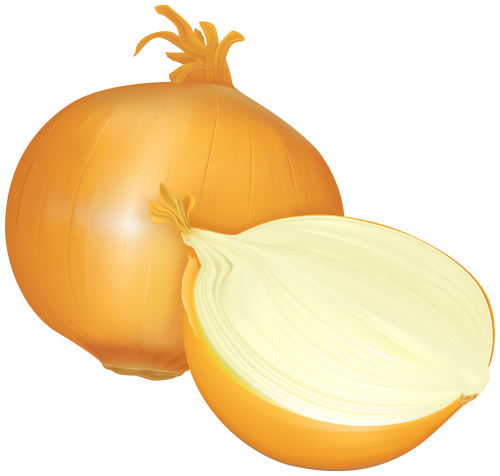 Onion PNG Clipart - High-quality PNG Clipart Image in cattegory Vegetables PNG / Clipart from ClipartPNG.com