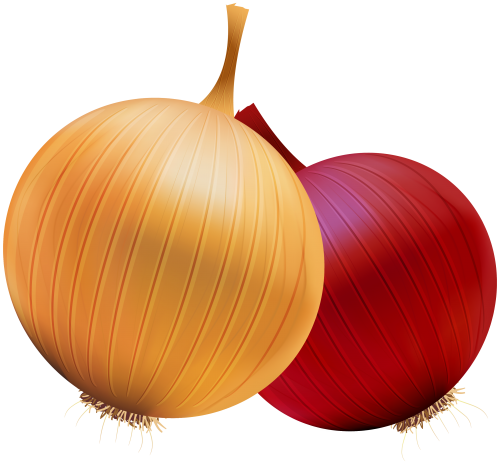 Onion and Red Onion PNG Clipart - High-quality PNG Clipart Image in cattegory Vegetables PNG / Clipart from ClipartPNG.com