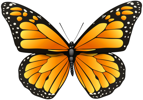Orange Butterfly PNG Clip Art - High-quality PNG Clipart Image in cattegory Insects PNG / Clipart from ClipartPNG.com