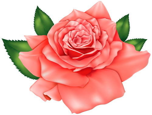 Orange Rose PNG Clipart Image - High-quality PNG Clipart Image in cattegory Flowers PNG / Clipart from ClipartPNG.com